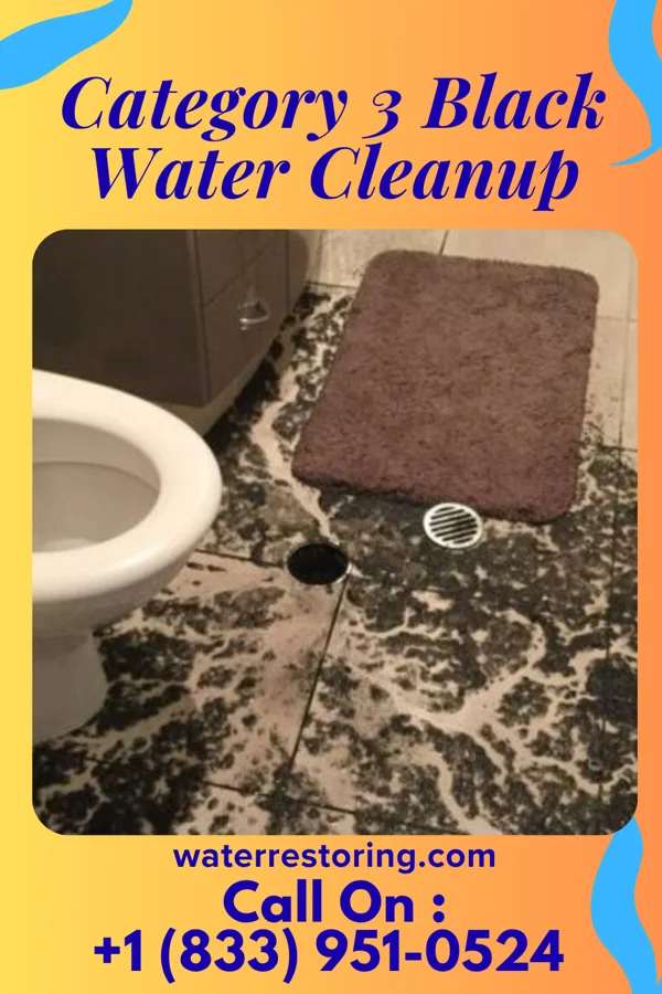 Category 3 Black Water Cleanup in Eldorado, MD