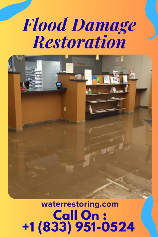 Flood Damage Restoration in Eldorado, MD