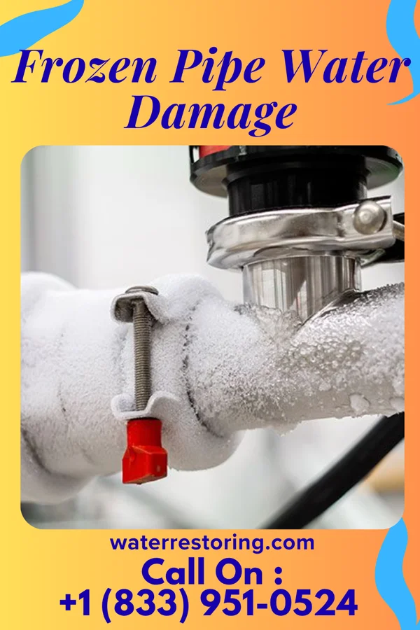 Frozen Pipe Water Damage in Eldorado, MD