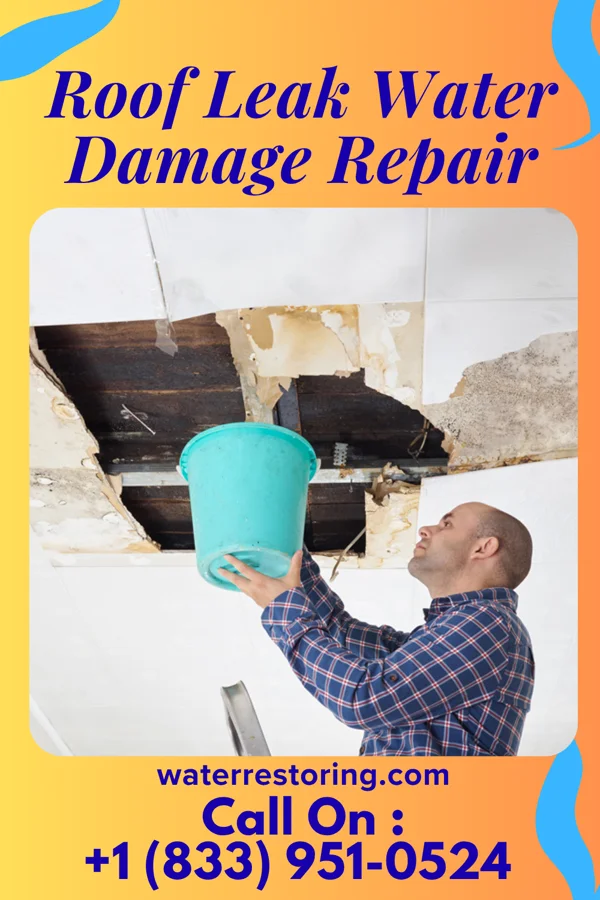Roof Leak Water Damage Repair in Eldorado, MD