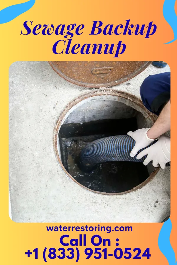 Sewage Backup Cleanup in Eldorado, MD