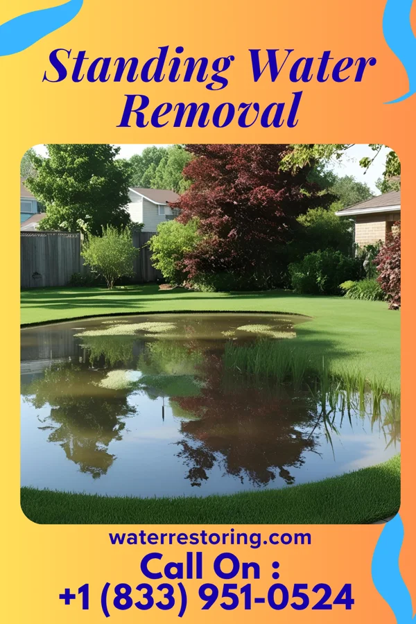 Standing Water Removal in Eldorado, MD